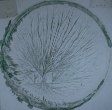 fig 4b terrain cardio